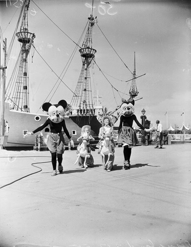 potret mickey mouse seram