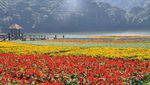 Potret Cantik Jilin di China yang Jadi Cluster Baru COVID-19
