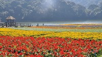 Semoga saja pandemi corona bisa tertangani dengan baik di Provinsi Jilin, sehingga nantinya traveler bisa kembali berwisata ke kota yang punya panorama alam indah ini (jilin.china.org.cn)