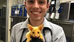 Foto: Pikachu di Dunia Nyata