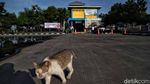 Denyut Terminal Tanjung Priok yang Terhenti