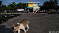 Tidak ada antrean pemudik seperti tahun-tahun sebelumnya.