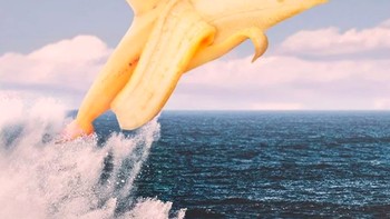 Masih perpaduan pisang, tapi yang ini dengan lumba-lumba. Foto: Instagram @ronnaldong via BrainBerries