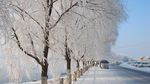 Potret Cantik Jilin di China yang Jadi Cluster Baru COVID-19