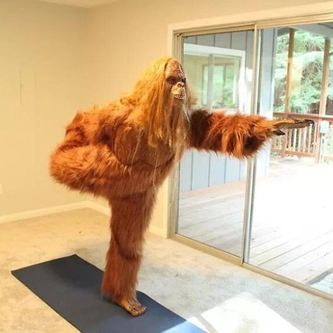 Ide menjadikan Bigfoot sebagai model rumah ini sangat cocok mengingat letak rumah yang berada di dekat hutan. Apakah kamu merasa terhibur dengan foto-foto ini atau justru jadi tertarik untuk membeli rumah? Foto: dok. Zillow