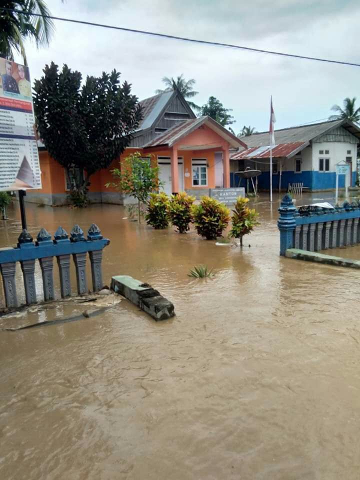 Banjir di satu desa di Pinrang, Sulsel. (Hasrul Nawir/detikcom)