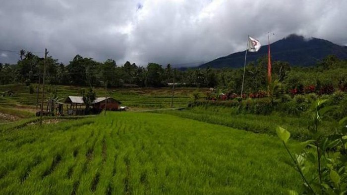 Jatiluwih Bali