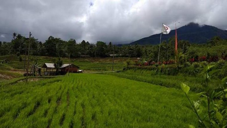 Jatiluwih Bali Jatiluwih Bali
