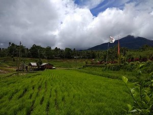Akankah Wisata Bali Seperti Dulu Lagi?