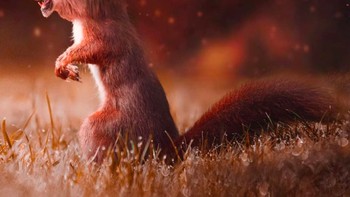 Singanya jadi lucu karena berbadan tupai mungil. Karya Ronald Ong lainnya bisa kalian lihat di akun Instagramnya @ronnaldong. Foto: Instagram @ronnaldong via BrainBerries