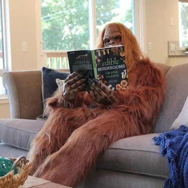 Seperti dikutip dari Bored Panda, ide pemotretan dengan menggunakan Bigfoot sebagai modelnya berasal dari Daniel Oster, agen properti yang menjual rumah ini. Dirinya mengatakan bahwa ini adalah salah satu cara untuk membuat orang lain tersenyum di tengah situasi pandemi saat ini. Foto: dok. Zillow