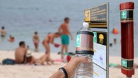 Jika terkena sengatan Irukandji, korbannya akan mengalami kram, sesak napas, halusinasi dan meninggal dalam waktu 30 menit. Pertolongan pertamanya adalah menyiramkan cuka ke bagian tubuh yang kram. (Getty Images/iStockphoto)