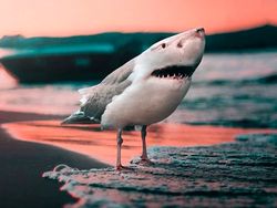 Photoshop Hewan Jejadian yang Menggelikan