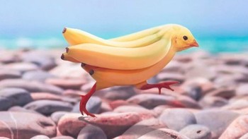 Perpaduan burung dan pisang. Foto: Instagram @ronnaldong via BrainBerries