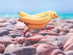 Photoshop Hewan Jejadian yang Menggelikan