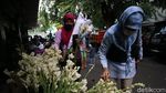 Semerbak Bunga Sedap Malam Sambut Hari Raya Idul Fitri