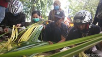 Warga berdesakan memilih daun kulit kelapa muda.