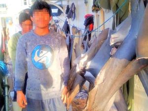 ABK Asal Indonesia yang Bekerja di Kapal China Meninggal di Pakistan