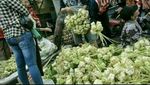 Ayo Intip 10 Meme Kocak Tentang Ketupat Karya Netizen