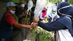 Semerbak Bunga Sedap Malam Sambut Hari Raya Idul Fitri