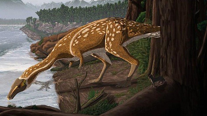 Dinosaurus: Elaphrosaurus ompong berusia 110 juta tahun ditemukan di Australia