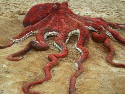 Keren! Tampak Seperti Nyata Hewan Ini Terbuat Dari Pasir