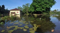 Banjir rob akibat pasang air laut itu menggenangi kawasan tersebut sejak dua hari terakhir, mengakibatkan sejumlah rumah warga terendam. 