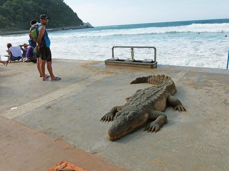 Andoni Bastarrika pasir hewan