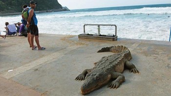  Untuk proses pembuatan karyawanya tersebut ia memadatkan pasir yang lembab dan kemudian membentuknya.(Foto: Dok. Andoni Bastarrika)