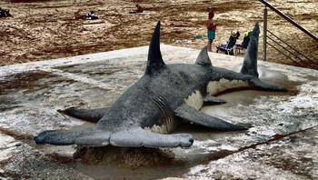 Bakat seni yang unik dan istimewa memang dapat membuat banyak kagum tidak kira sama ada seni dalam bentuk fisik mahupun seni digital. (Foto: Dok. Andoni Bastarrika)