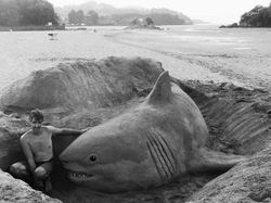 Keren! Tampak Seperti Nyata Hewan Ini Terbuat Dari Pasir
