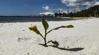 Pantai ini kini tampak sepi.