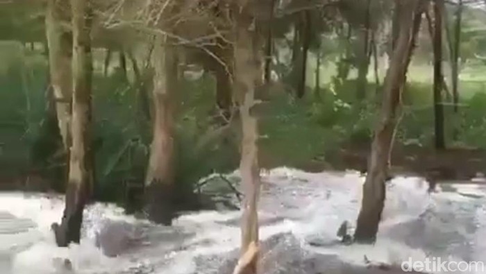 gelombang tinggi di pacitan