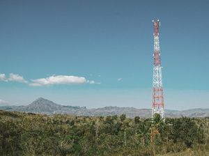 Menkominfo Ingin Kurangi Operator Seluler, ATSI: Nggak Bisa Kawin Paksa