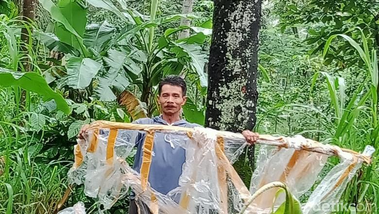 Balon udara di kebun warga Desa Balerante Balon udara yang mendarat di kebun warga Desa Balerante, Kecamatan Kemalang