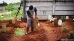 Nisan Unik di TPU Tangsel Peringatkan Bahaya COVID-19