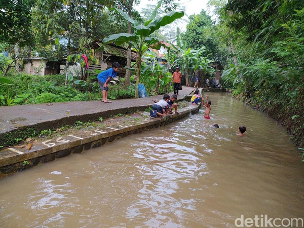Sejumlah anak-anak sedang naik turun saluran irigasi dengan melompat. Sesekali mereka memperagakan gerakan renang. Sejumlah anak-anak sedang naik turun saluran irigasi dengan melompat. Sesekali mereka memperagakan gerakan renang.