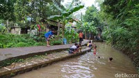 Sejumlah anak-anak sedang naik turun saluran irigasi dengan melompat. Sesekali mereka memperagakan gerakan renang.