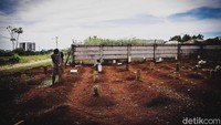 Keberadaan papan nisan itu diketahui sebagai bentuk kekecewaan para petugas kepada masyarakat yang belum mematuhi aturan PSBB guna mencegah penyebaran virus Corona.