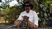 Selain itu, puma juga telah diverifikasi dalam bahaya kepunahan oleh pengacara Federal untuk Perlindungan Lingkungan. (AFP)