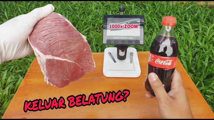zoom makanan dan minuman mikroskop