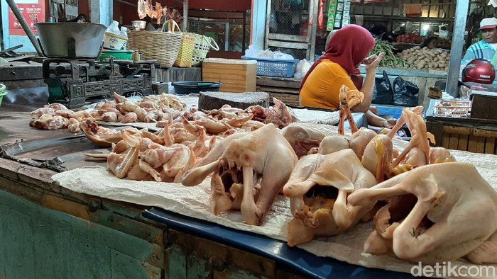 harga daging ayam