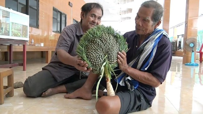 Kata Netizen Soal Analisa Panci Roy Suryo dan Orang Thailand Sembah Nanas