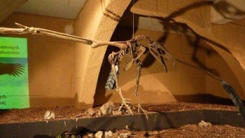 Argentavis mulai punah sekitar 10 ribu tahun yang lalu. Penyebab punahnya Argentavis belum diketahui secara pasti. Kemungkinan Argentavis punah karena penyakit, kecelakaan, atau penuaan usia. Foto: Yearofcleanwater.org