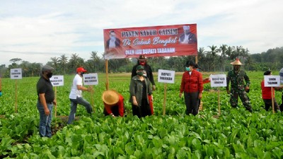 Borong Hasil Panen di Tengah Pandemi Demi Petani