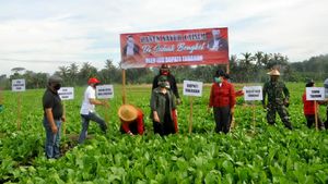 Borong Hasil Panen di Tengah Pandemi Demi Petani