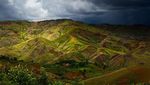 Ini 9 Alasan Madagaskar Jadi Destinasi Wisata Menarik di Dunia