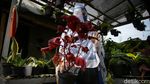 Geliat Penjual Tanaman Hias Panen Rezeki di Tengah Pandemi
