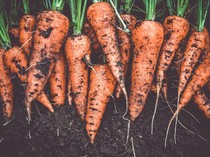 Ternyata Warna Asli Wortel Bukan Oranye