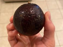 Potret Fenomena Alam yang Lucu dan Membingungkan